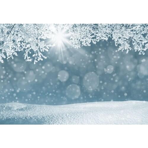 Winter snowflakes background backdrops kid birthday vinyl newborn photo backdrop for photo Studio accessories photophone LV-1020