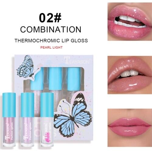 3Pcs Lip Gloss Oil Lipstick Diamond Clear Lip Gloss Moist Light Lip Gloss Clear Blusher Highlight Set Lip Gloss Kit Skin Care