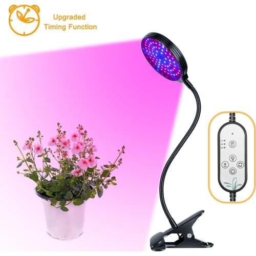 FCMILA Professional Lighting