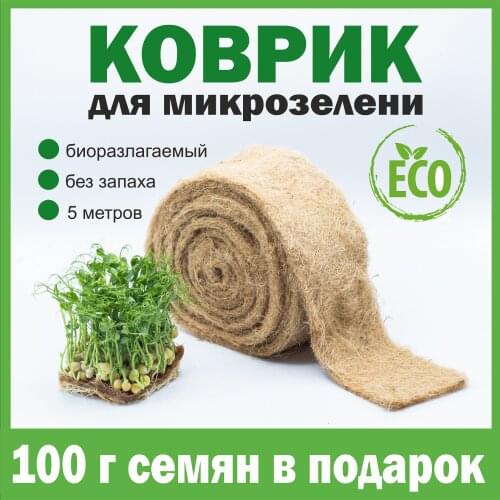 Ферма Сэма Outdoor Pots