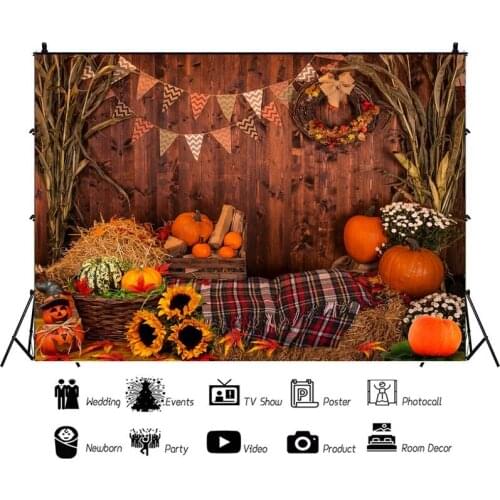 Harvest Season Pumpkin Sunflower Bunting Portrait Photography Background Vinyl Backdrop Birthday Party Photocall Studio Props