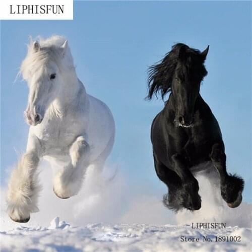 Full Drill Square Diamond Diy Needlework Diamond Embroidery Kits Painting Animal Home Decor Paintings White and Black Horse