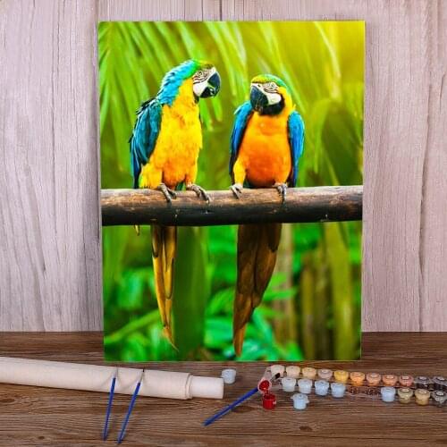 Animal Bird Parrot Coloring By Numbers Painting Complete Kit Oil Paints 50*70 Oil Painting Home Decoration For Handicraft