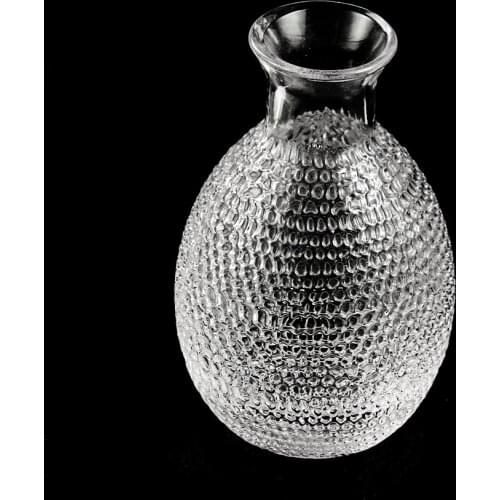 Glass Vases for Flower Arrangements Sake Bottle Vase Hammer Pattern Transparent Terrarium Flowers Vase Modern Home Table Decor