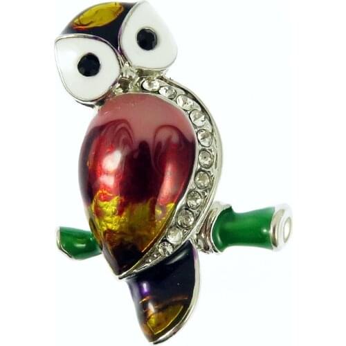 Large Bird Owls Vintage Brooches Antiques Bouquet Owl Hijab Pin Up Designer Wedded Broach Scarf Clips Jewelry Fleur de Lis