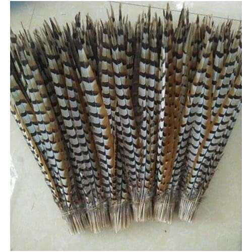 Free Shipping 50PCS Natural Pheasant Tail Feather 50-55cm Lady Amherst Pheasant Feather Reeve pheasant feather For Aztec Dance