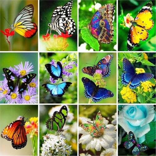 Haucan 5d DIY Diamond Painting Full Square Butterfly Flower Diamond Embroidery Kits Cross Stitch Mosaic Animal Needlework