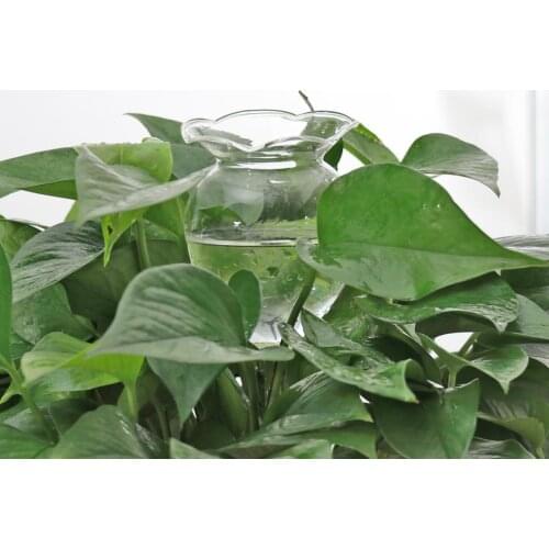 2x Plant Watering Bulbs Self-Watering Stakes Automatic Irrigation Device