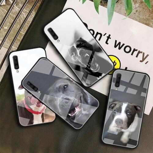 Pit Bull Lovely Pet Dog Pitbull Tempered Glass Case For Samsung Galaxy A10S A10E A20S A20E A30S A40 A50S A60 A70 A80 A90 A6 A7