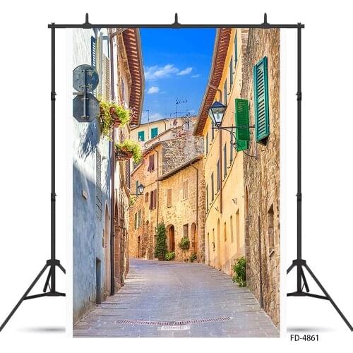 Road Brick Wall Potted Lamp Photo Background Vinyl Cloth Backdrop Photography Props for Pets Children Baby Portrait Photoshoot