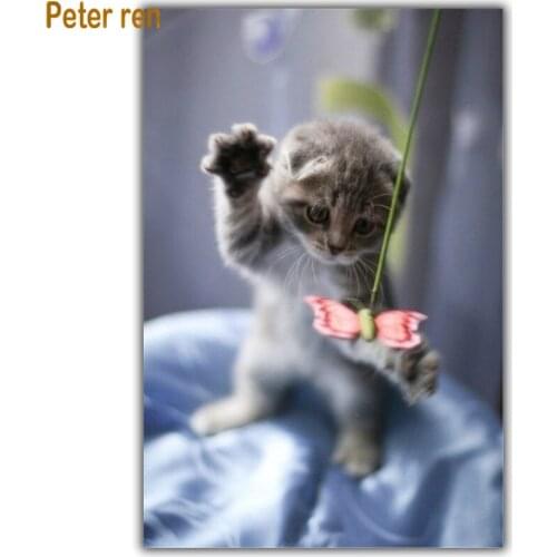 Cat Diamond painting cross stitch diamond embroidery animal Square/Round diamond Mosaic Rhinestone Home Decor "Butterfly kitten"