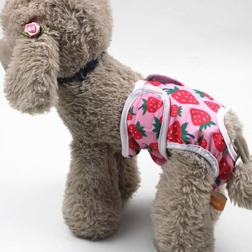 11 Colors Cute Pattern Dog Diaper Physiological Pant Briefs for Girl Dogs Sanitary Washable Shorts Female Dog Panties Short