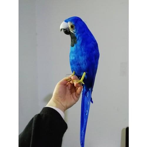 One piece new real life blue parrot model foam&feather simulation turned parrot bird gift about 40cm xf0147