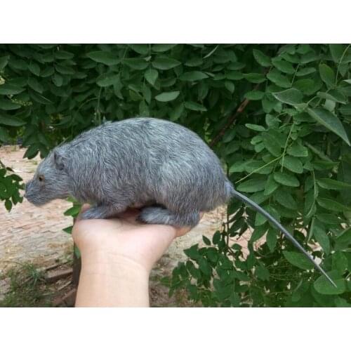 Cute simulation mouse toy resin&fur gray mouse model gift 32cm 1063