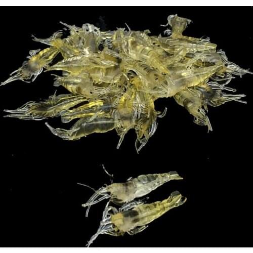 10Pcs/Pack Shrimp Baits 4cm 1g Soft Fishing Lure Gold Artificial Silicone Shrimp Bait No hook Sea Fishing Winter Fishing L03