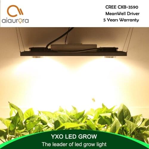 Aiaurora Portable Lamps