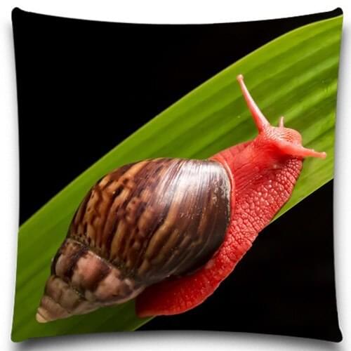Red Snail Big Black Ant Animals style Cushion Covers Insect Blue Yellow Throw Pillows Cover for Home car sofa Decor 16 18 20 in
