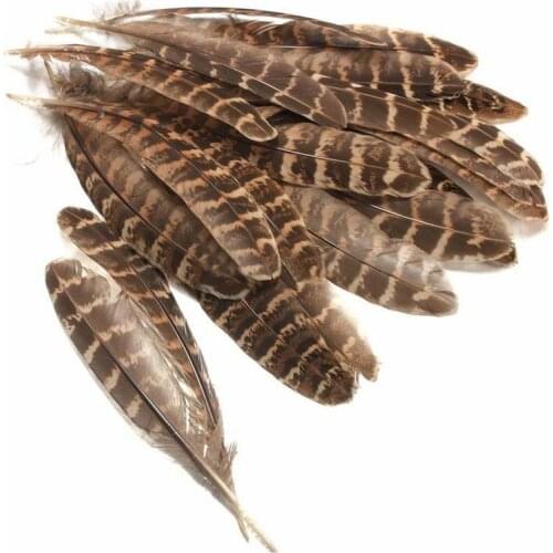 50PCS Natural Pheasant Feather Handicraft Jewelry Making Christmas Day Decoration Feather Feather