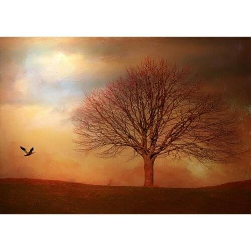 Landscape with Bird Animal Art Film Print Silk Poster Home Wall Decor 24x36inch