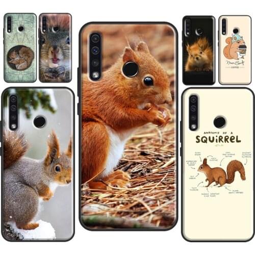 Squirrel Cute Animals For Huawei Honor 10i 10 Lite 7X 8X 9X 10X Lite 8A 9A 8S 9S 4C 6C 7C 7A 20 Pro Phone Case