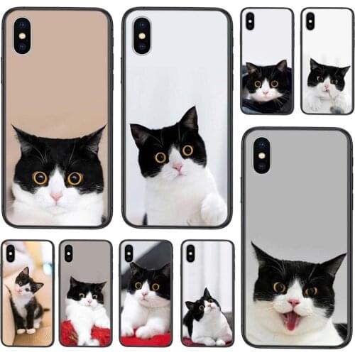 For Samsung Galaxy A51 A71 A72 A70 A51 A50 A40 A30S A20S A10S 5G Domestic Cute Black And White Short Hair Cat Accessories