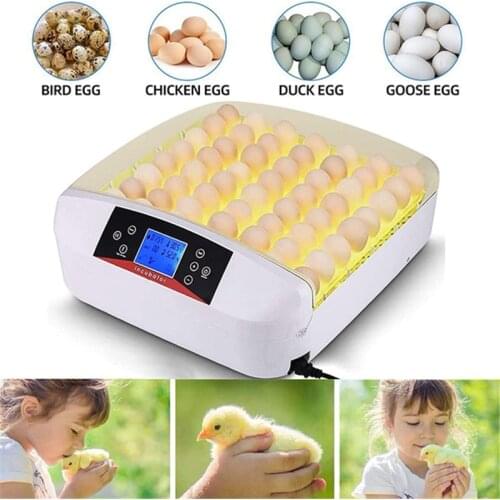 32/56 Egg Automatic Incubator Household Digital Mini Brooder Machine with Turner Hatcher Chicken Incubation Equipment