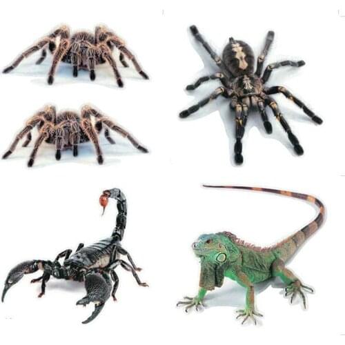 3D Car Sticker Animals Bumper Spider Gecko Scorpions Sticker Auto Motorcycle Accessories for Skoda Citroen Peugeot