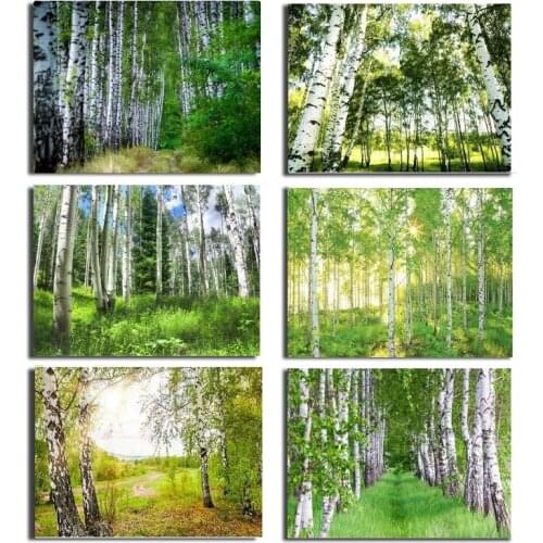 5D Diamond Painting Painting Embroidery Picture Diamond Mosaic Home Decor Without Frame