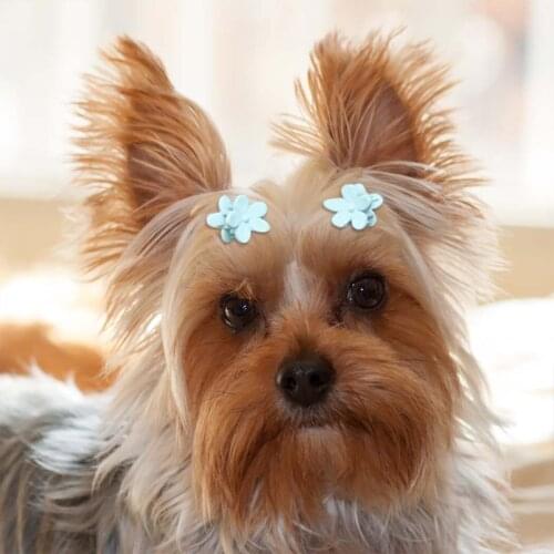 9PCS Color Random Dog Kitten Puppy Cute Pet Grooming Floral Solid Cotton Bow Flower Hairpins Butterfly Hair Clips Hair Barrette