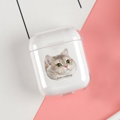 Heavy Breathing Cat Cases For Apple AirPods 1 2 Case Clear Wireless Bluetooth Earphone Case Protective Shell
