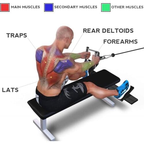 V Sharp Bar Push-down D-Handle Cable Pully Optional for Gym Fitness Equipment Weight Lifting Workout Accessories