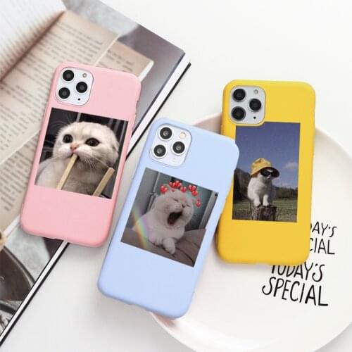 Phone Case For iphone 12 Mini 11 Pro Max 8 7 6 6s Plus 7 plus 11 12 pro XR X Xs Max SE 2020 5S SE Cute Cat Soft Cover Capa