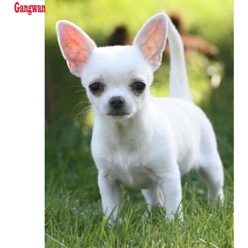 Full square circular 5D DIY Diamond Painting chihuahua dog,Diamond Embroidery pet Cross Stitch kits rhinestones diamond picture