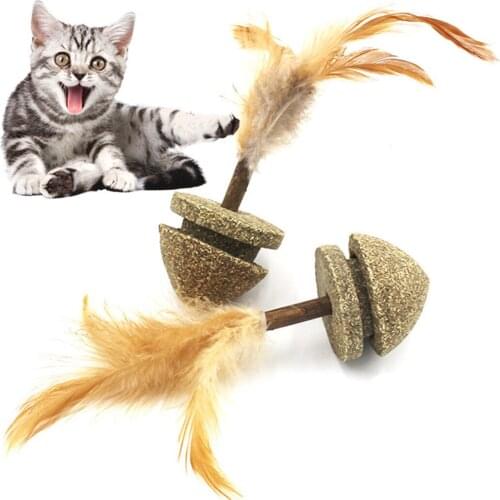 Cat Interactive Toy Pet Chewing Toy Cat Catnip Toy Vegetable Flavor Spinning Top Kitten Teething Toy Faux Feather Pet Supplies