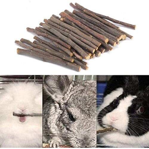 100g Pet Hamster Squirrel Rabbit Chewing Stick Apple Branch Molar Toy Apple Branch Rabbit Fruit Wood Molar Stick