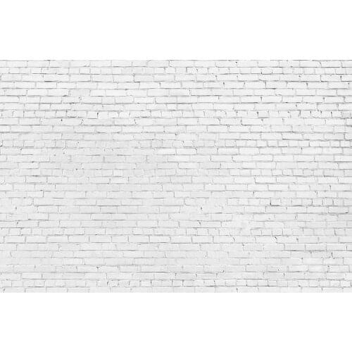 White Brick Wall Photo Backdrop Computer Printed Background for Baby Children Portrait Toy Pets Photophone Photography Props