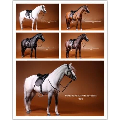 MR.Z 1/6 Scale Hannover/Hannoverian Horse for Figure Scenes