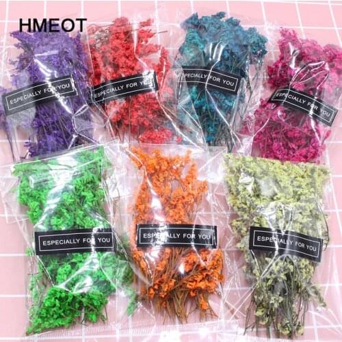 Natural Dried Flower Gypsophila Garden Home Decoration Wall DIY Flower Material Mini Garden Micro Landscape Accessories Gifts