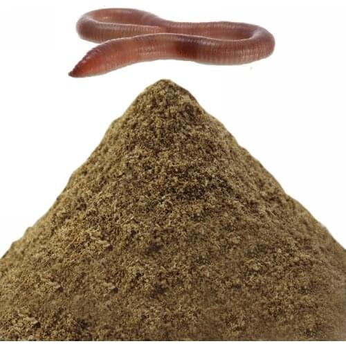 Bloodworm/earthworm/shrimp Flavor Additive Carp Fishing Feeder Bait Boillie Making Material product all for fishing 3 choosing