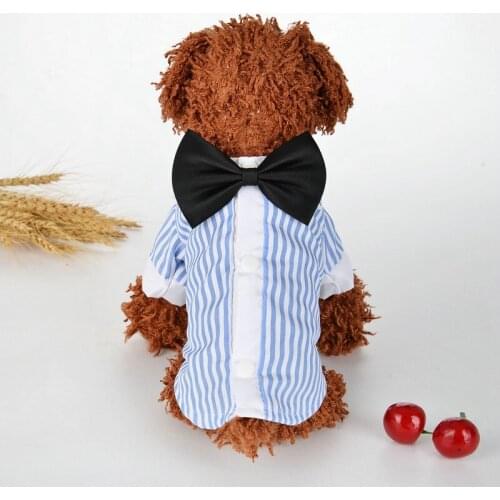 Dog Shirts Doggie Clothe Sphynx Clothes Summer Short Shirt Thin Short Sleeves Dog Shirt Clothes Summer Vest Cat Clothes Hoodie