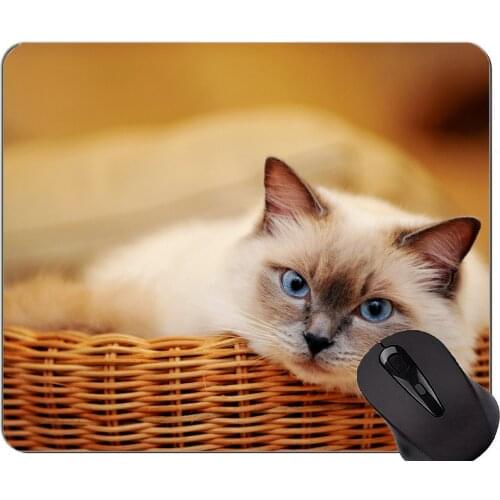 Mouse Pad with Stitched Edge,Blue Eyes Pet Animal Cat Home Office Computer Accessories Mousepads