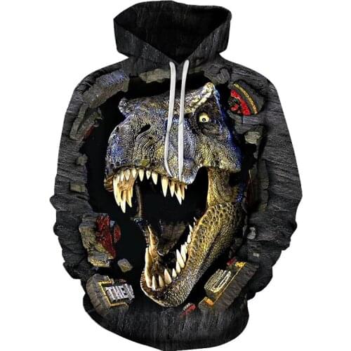 3D Print Dinosaur Boys Hoodies Coats autumn and winter men/women Hooded Sweatshirt animal Long Sleeve Pullover Tops