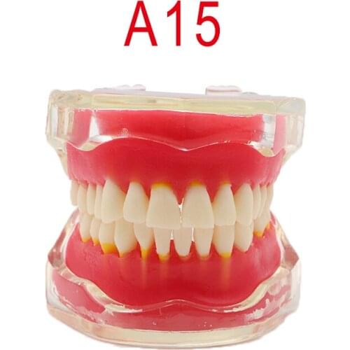 1pc Removable Teeth Model for dental training 28pcs teeth soft gum Adult Typodont education teeth Model for Dentist