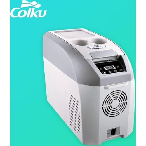 10L 24v skincare retro mini compact fridge vintage 10 liter small car refrigerator 12 volt beauty refrigerators for makeup