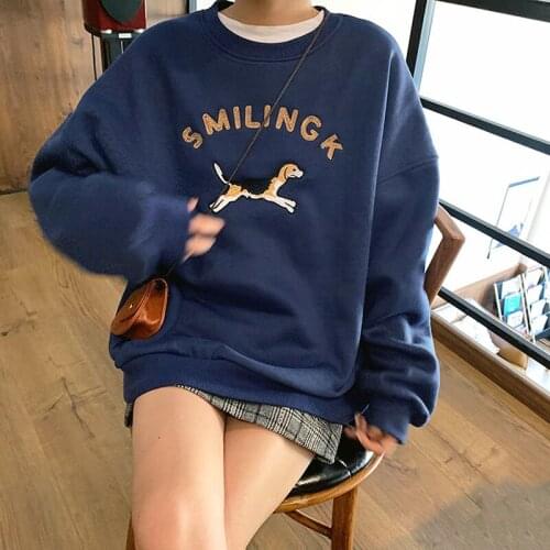 Autumn Hoodie Women College Style Hoodie Cartoon Puppy Embroidery Hoodie Loose Round Neck Long Sleeve Pullover Casual Man Hoodie