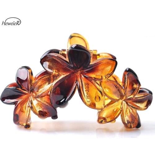 Women Girl Plastic Hair Crab Clamps Grasp Claws Combs Clips Brown Flowers Headwear Hairpins Headdress Hairpiece Hair Accessories