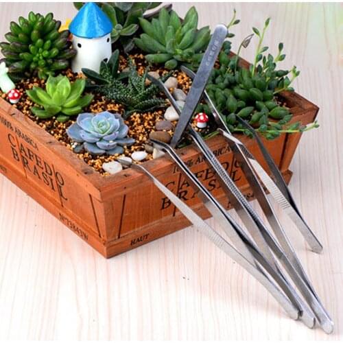5 Pieces Stainless Steel Tweezers Anti Static Flower Pot Bonsai Gardening Tool