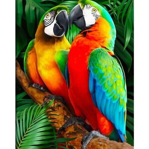 Painting By Numbers DIY Dropshipping Digital Two Parrots 40x50CM Animal DIY Handmade For Living Room Wall Decor Oil Painting
