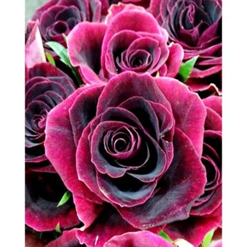 Full Drill Diamond Painting Flowers Scenery Diamond Embroidery Picture Cross Stitch Mosaic diamond Art Christmas home decor