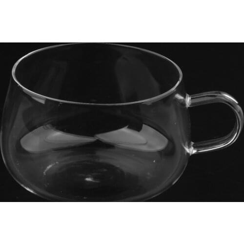 Double Walled Insulated Glass Coffee Mugs or Tea Cups for Espresso, Latte, Cappuccino, Borosilicate Glassware